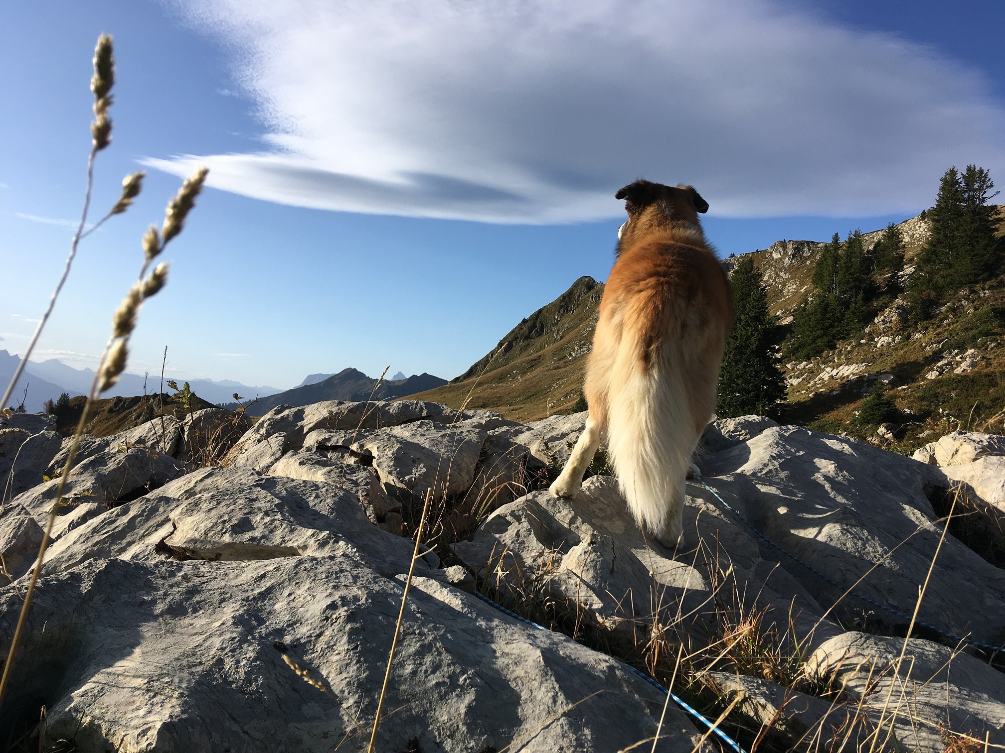 Donischal Philippe rando bivouac à praz de ly